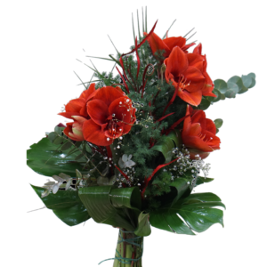 Bouquet con amaryllis